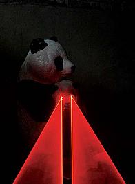 Troika - Pandamonium