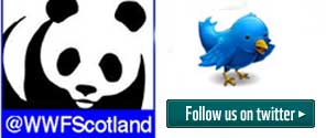 Twitter link