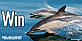 Sea Life Surveys Win with WWF
