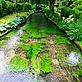 River Itchen, chalkstream. - © Jiri Rezac / WWF-UK River Itchen, chalkstream.