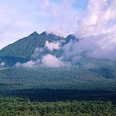 Virunga National Park, Congo WWF