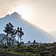 Sunrise over the Virunga mountains. - © naturepl.com / Christophe Courteau / WWF-Canon Sunrise over the Virunga mountains.