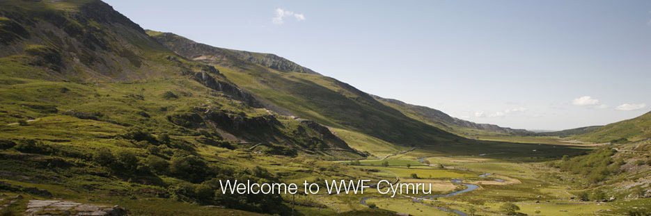 Wales landscape