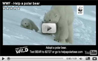 Still from Polar Bear Adoption Video