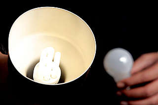 Replacing a light bulb, Belgium
- © Bruno Arnold / WWF-Canon Replacing a light bulb, Belgium
