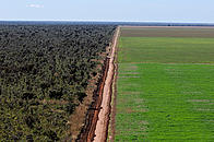 Aerial view of an unpaved road dividing a soy (Glycine max) monoculture from the native Cerrado