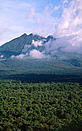 © Martin Harvey / WWF-Canon Virunga National Park, Democratic Republic of Congo Virunga National Park, Democratic Republic of Congo