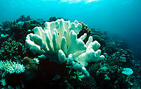 ImageID:   58171
Title:   947 2735 4956