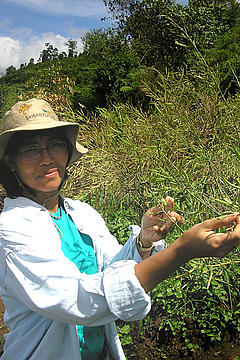 Dami Buchori, winner of the 2012 WFN / WWF challenge grant WWF Dami Buchori - winner of the 2012 WFN / WWF challenge grant