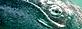 Help protect the western gray whale!