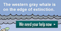 We need your help now