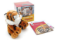 Wild Animal Box Set_Tiger