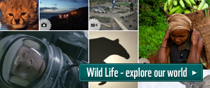 Wild Life - explore our world © © WWF