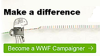 campaigns, campaigner