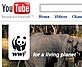 WWF Videos on YouTube - WWF WWF Videos on YouTube