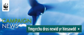 Ymgyrchu dros newid yr hinsawdd