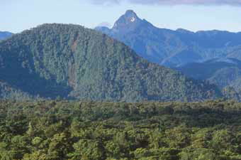 cloud forest, Colombia © WWF-Canon / Edward PARKER 