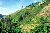 Deforestation in Colombia © WWF-Canon / Diego M. GARCES 