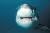 Great white shark © WWF / Wildlife Pictures/Jêrome Mallefet