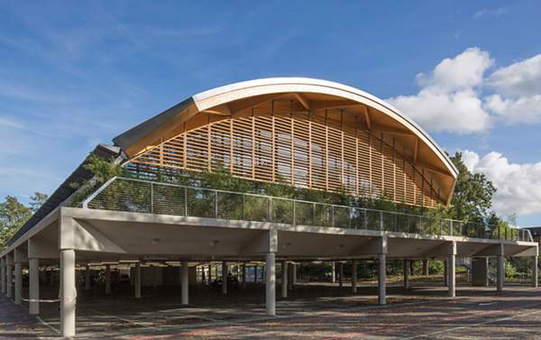 View from ground level at the rear of the building