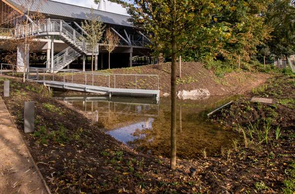 The small 'wetland' area near the back of the building